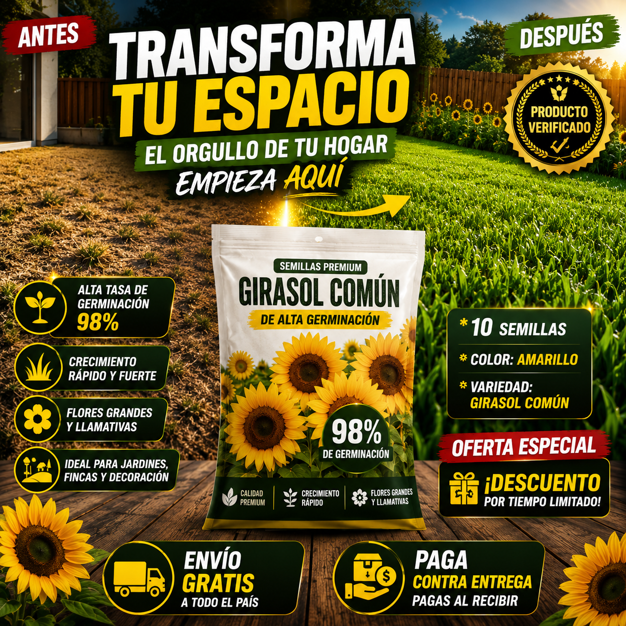 10 Semillas De Girasol Amarillo