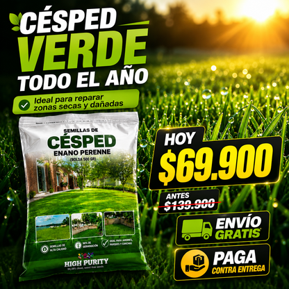 Semillas de Césped Enano Perenne